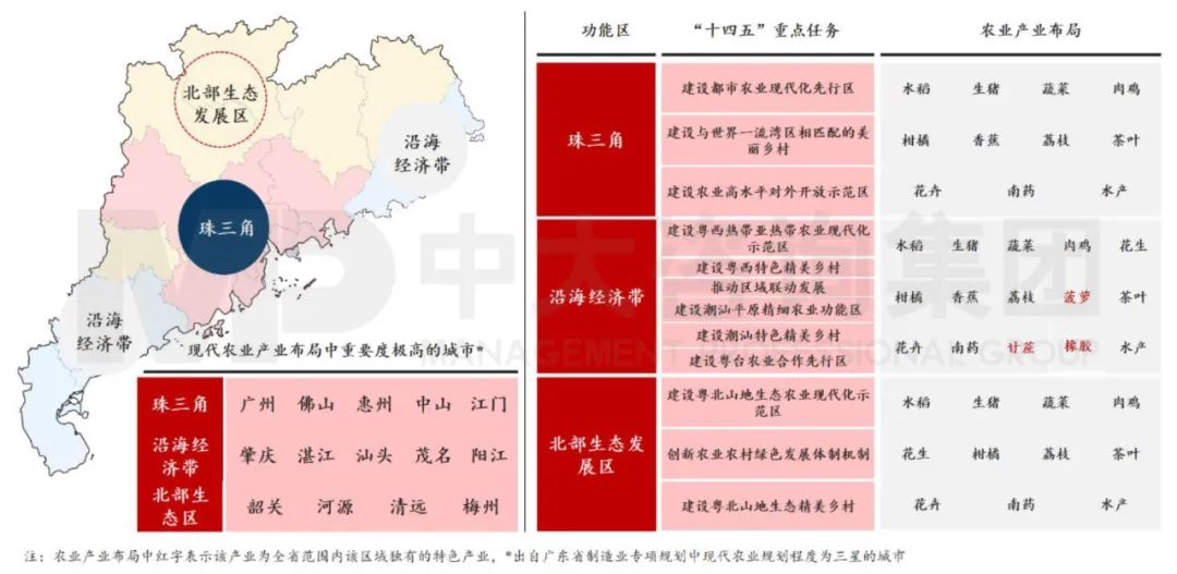 中大咨詢：廣東省農(nóng)村農(nóng)業(yè)專項規(guī)劃