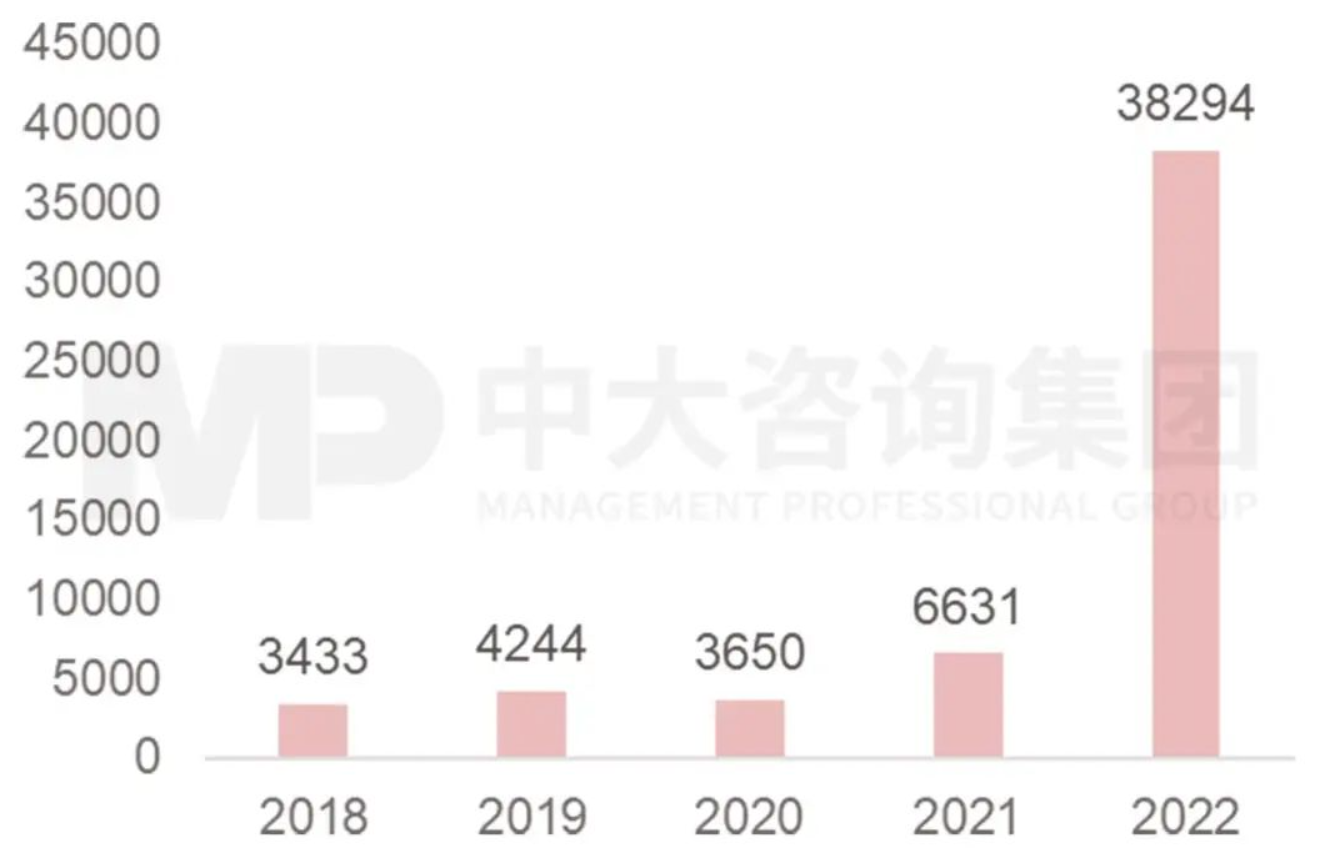 探究儲能產(chǎn)業(yè)發(fā)展的冰火兩重天