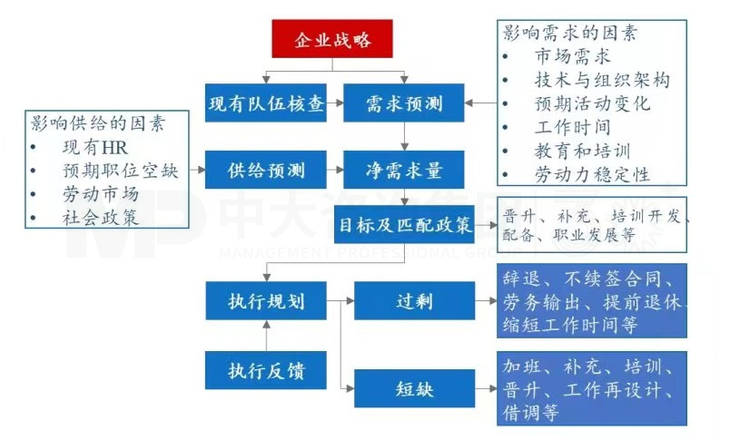 上下貫通，務實有序 丨 企業(yè)人力資源規(guī)劃步驟詳解